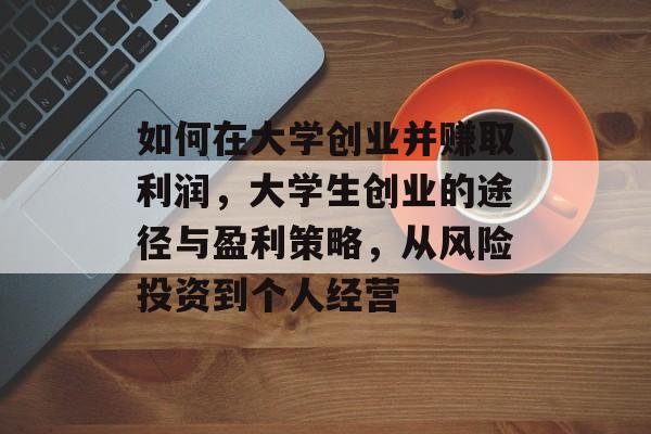 如何在大学创业并赚取利润,大学生创业的途径与盈利策略,从风险投资到个人经营 如何在大学创业并赚取利润,大学生创业的途径与盈利策略,从风险投资到个人经营