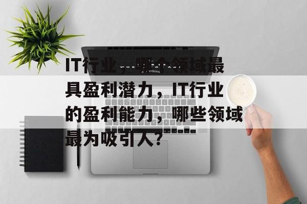 IT行业，哪个领域最具盈利潜力，IT行业的盈利能力，哪些领域最为吸引人？