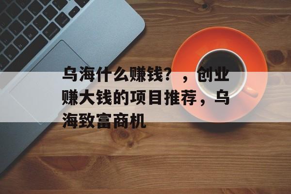 乌海什么赚钱？，创业赚大钱的项目推荐，乌海致富商机