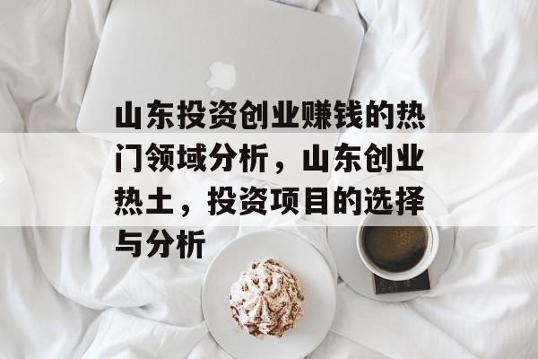 山东投资创业赚钱的热门领域分析，山东创业热土，投资项目的选择与分析