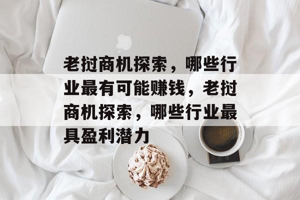 老挝商机探索，哪些行业最有可能赚钱，老挝商机探索，哪些行业最具盈利潜力