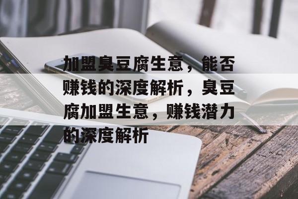 加盟臭豆腐生意，能否赚钱的深度解析，臭豆腐加盟生意，赚钱潜力的深度解析