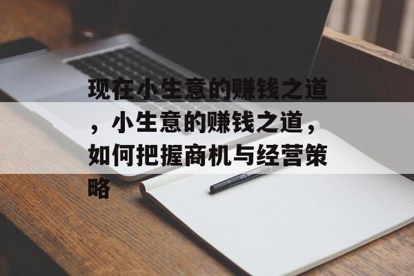 现在小生意的赚钱之道,小生意的赚钱之道,如何把握商机与经营策略 现在小生意的赚钱之道,小生意的赚钱之道,如何把握商机与经营策略