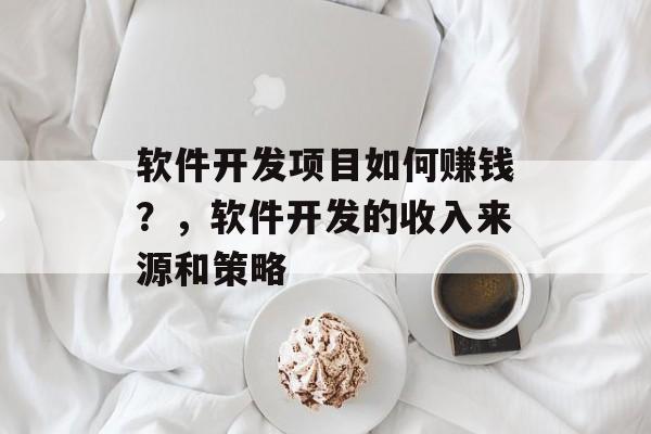 软件开发项目如何赚钱？，软件开发的收入来源和策略