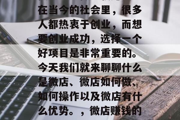 微店怎么做比较赚钱？在当今的社会里，很多人都热衷于创业，而想要创业成功，选择一个好项目是非常重要的。今天我们就来聊聊什么是微店、微店如何做、如何操作以及微店有什么优势。，微店赚钱的秘诀和技巧