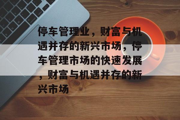 停车管理业，财富与机遇并存的新兴市场，停车管理市场的快速发展，财富与机遇并存的新兴市场