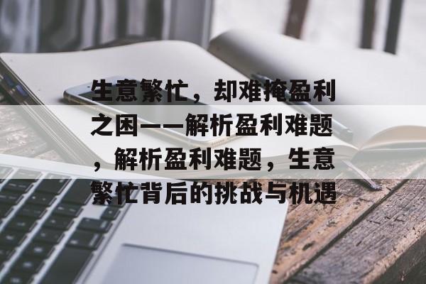 生意繁忙，却难掩盈利之困——解析盈利难题，解析盈利难题，生意繁忙背后的挑战与机遇
