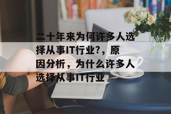 二十年来为何许多人选择从事IT行业?，原因分析，为什么许多人选择从事IT行业