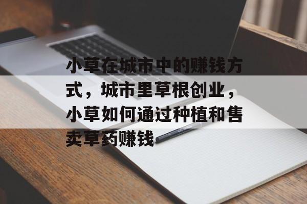 小草在城市中的赚钱方式，城市里草根创业，小草如何通过种植和售卖草药赚钱