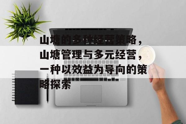 山塘的多种经营策略,山塘管理与多元经营,一种以效益为导向的策略探索 山塘的多种经营策略,山塘管理与多元经营,一种以效益为导向的策略探索