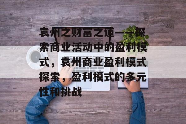 袁州之财富之道——探索商业活动中的盈利模式,袁州商业盈利模式探索,盈利模式的多元性和挑战 袁州之财富之道——探索商业活动中的盈利模式,袁州商业盈利模式探索,盈利模式的多元性和挑战