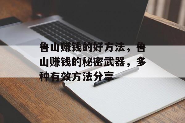 鲁山赚钱的好方法，鲁山赚钱的秘密武器，多种有效方法分享