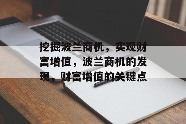 挖掘波兰商机,实现财富增值,波兰商机的发现,财富增值的关键点 挖掘波兰商机,实现财富增值,波兰商机的发现,财富增值的关键点