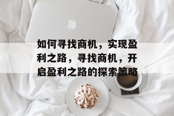 如何寻找商机，实现盈利之路，寻找商机，开启盈利之路的探索策略