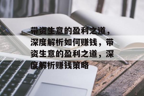 带资生意的盈利之道，深度解析如何赚钱，带资生意的盈利之道，深度解析赚钱策略