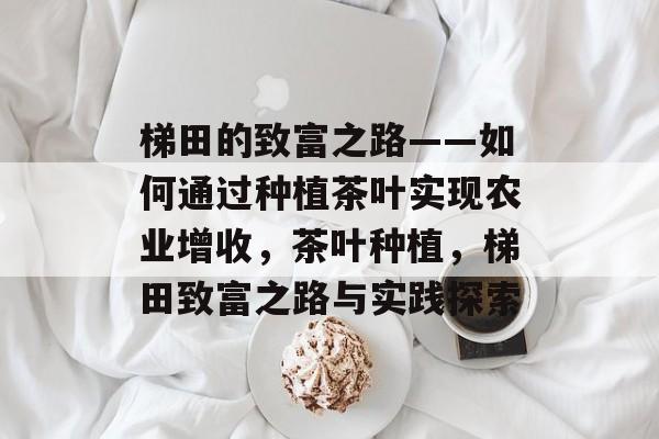 梯田的致富之路——如何通过种植茶叶实现农业增收,茶叶种植,梯田致富之路与实践探索 梯田的致富之路——如何通过种植茶叶实现农业增收,茶叶种植,梯田致富之路与实践探索