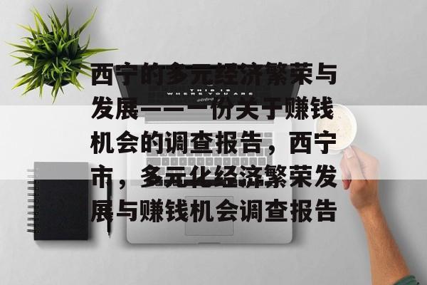 西宁的多元经济繁荣与发展——一份关于赚钱机会的调查报告，西宁市，多元化经济繁荣发展与赚钱机会调查报告