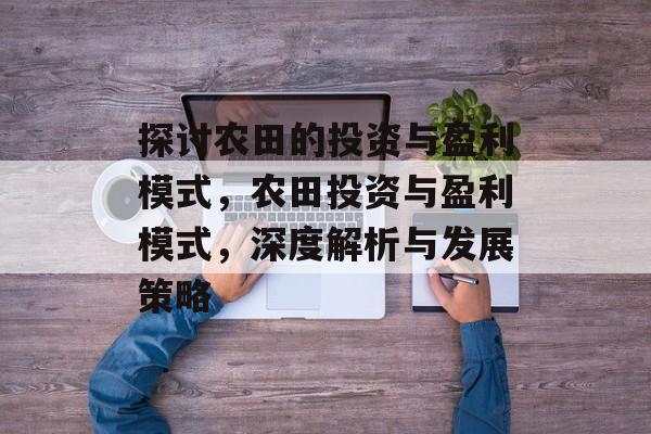 探讨农田的投资与盈利模式,农田投资与盈利模式,深度解析与发展策略 探讨农田的投资与盈利模式,农田投资与盈利模式,深度解析与发展策略