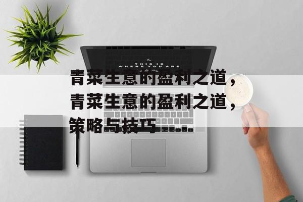 青菜生意的盈利之道，青菜生意的盈利之道，策略与技巧