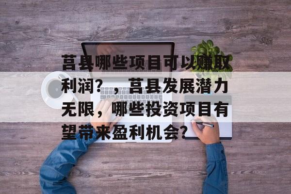 莒县哪些项目可以赚取利润?,莒县发展潜力无限,哪些投资项目有望带来盈利机会? 莒县哪些项目可以赚取利润?,莒县发展潜力无限,哪些投资项目有望带来盈利机会?