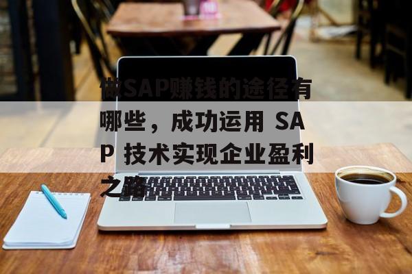 做SAP赚钱的途径有哪些,成功运用 SAP 技术实现企业盈利之路 做SAP赚钱的途径有哪些,成功运用 SAP 技术实现企业盈利之路