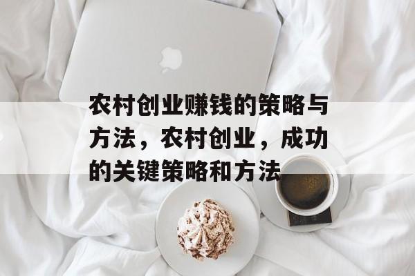 农村创业赚钱的策略与方法，农村创业，成功的关键策略和方法