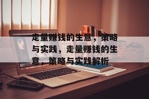 走量赚钱的生意,策略与实践,走量赚钱的生意,策略与实践解析 走量赚钱的生意,策略与实践,走量赚钱的生意,策略与实践解析