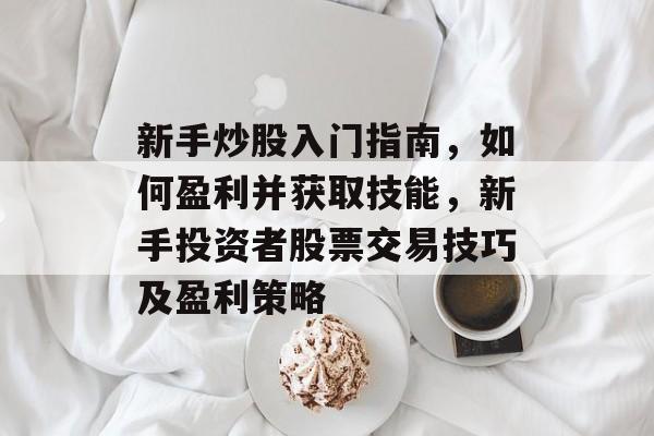 新手炒股入门指南，如何盈利并获取技能，新手投资者股票交易技巧及盈利策略