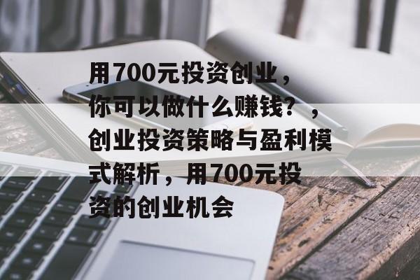 用700元投资创业，你可以做什么赚钱？，创业投资策略与盈利模式解析，用700元投资的创业机会