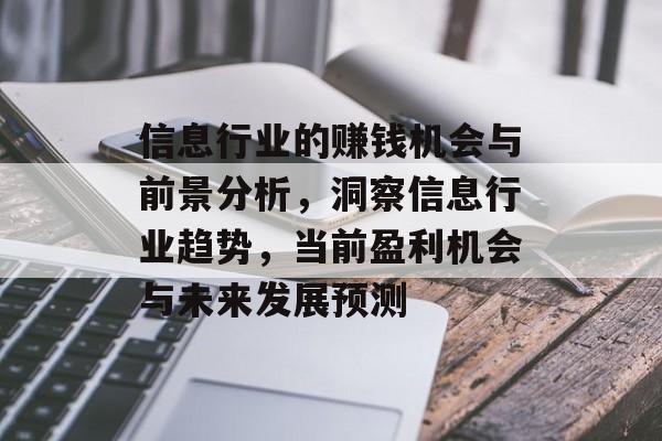 信息行业的赚钱机会与前景分析，洞察信息行业趋势，当前盈利机会与未来发展预测