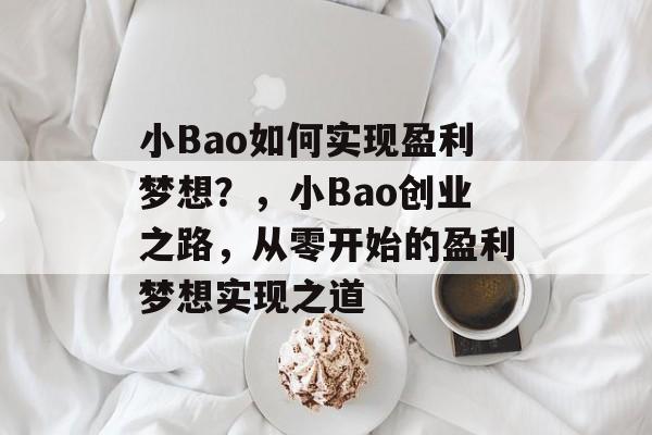 小Bao如何实现盈利梦想?,小Bao创业之路,从零开始的盈利梦想实现之道 小Bao如何实现盈利梦想?,小Bao创业之路,从零开始的盈利梦想实现之道
