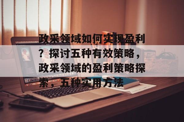 政采领域如何实现盈利?探讨五种有效策略,政采领域的盈利策略探索,五种实用方法 政采领域如何实现盈利?探讨五种有效策略,政采领域的盈利策略探索,五种实用方法