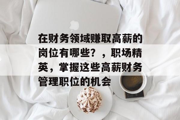 在财务领域赚取高薪的岗位有哪些?,职场精英,掌握这些高薪财务管理职位的机会 在财务领域赚取高薪的岗位有哪些?,职场精英,掌握这些高薪财务管理职位的机会