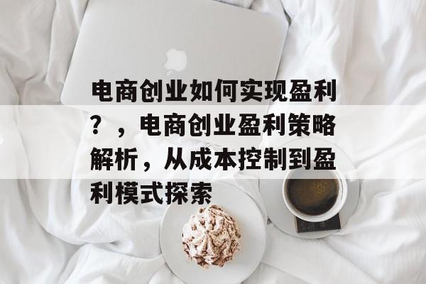 电商创业如何实现盈利?,电商创业盈利策略解析,从成本控制到盈利模式探索 电商创业如何实现盈利?,电商创业盈利策略解析,从成本控制到盈利模式探索