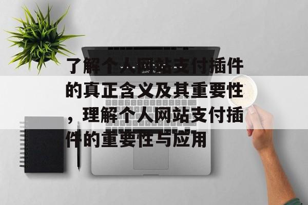 了解个人网站支付插件的真正含义及其重要性,理解个人网站支付插件的重要性与应用 了解个人网站支付插件的真正含义及其重要性,理解个人网站支付插件的重要性与应用