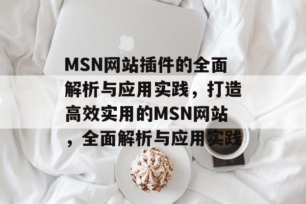 MSN网站插件的全面解析与应用实践,打造高效实用的MSN网站,全面解析与应用实践 MSN网站插件的全面解析与应用实践,打造高效实用的MSN网站,全面解析与应用实践