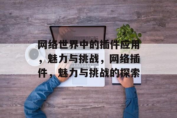 网络世界中的插件应用,魅力与挑战,网络插件,魅力与挑战的探索 网络世界中的插件应用,魅力与挑战,网络插件,魅力与挑战的探索