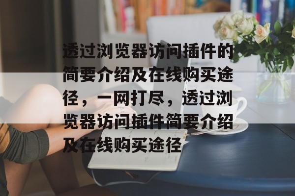 透过浏览器访问插件的简要介绍及在线购买途径,一网打尽,透过浏览器访问插件简要介绍及在线购买途径 透过浏览器访问插件的简要介绍及在线购买途径,一网打尽,透过浏览器访问插件简要介绍及在线购买途径