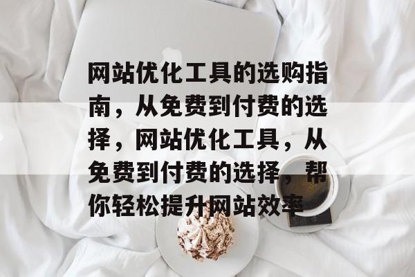 网站优化工具的选购指南，从免费到付费的选择，网站优化工具，从免费到付费的选择，帮你轻松提升网站效率