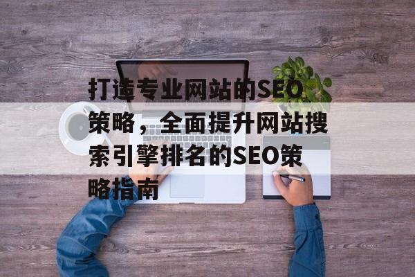 打造专业网站的SEO策略，全面提升网站搜索引擎排名的SEO策略指南
