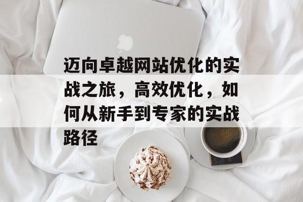 迈向卓越网站优化的实战之旅，高效优化，如何从新手到专家的实战路径