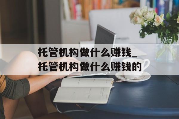 托管机构做什么赚钱_托管机构做什么赚钱的