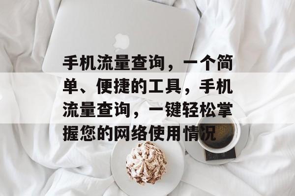 手机流量查询，一个简单、便捷的工具，手机流量查询，一键轻松掌握您的网络使用情况
