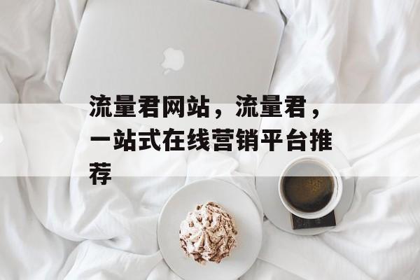 流量君网站，流量君，一站式在线营销平台推荐