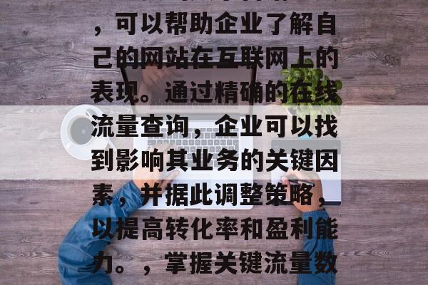 在线网站流量查询是一项重要的数字营销工具，可以帮助企业了解自己的网站在互联网上的表现。通过精确的在线流量查询，企业可以找到影响其业务的关键因素，并据此调整策略，以提高转化率和盈利能力。，掌握关键流量数据，优化SEO策略与提升转化效果