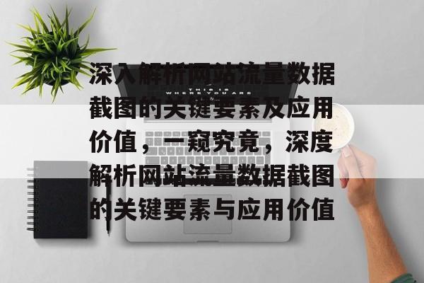 深入解析网站流量数据截图的关键要素及应用价值，一窥究竟，深度解析网站流量数据截图的关键要素与应用价值