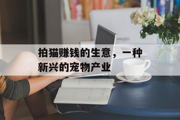 拍猫赚钱的生意，一种新兴的宠物产业