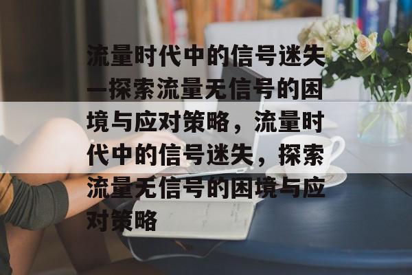 流量时代中的信号迷失—探索流量无信号的困境与应对策略，流量时代中的信号迷失，探索流量无信号的困境与应对策略