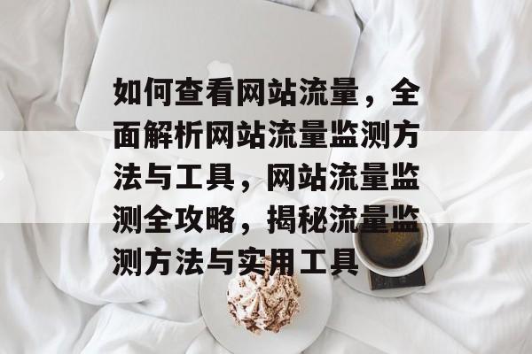 如何查看网站流量，全面解析网站流量监测方法与工具，网站流量监测全攻略，揭秘流量监测方法与实用工具