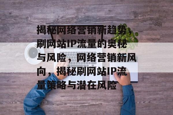 揭秘网络营销新趋势，刷网站IP流量的奥秘与风险，网络营销新风向，揭秘刷网站IP流量策略与潜在风险